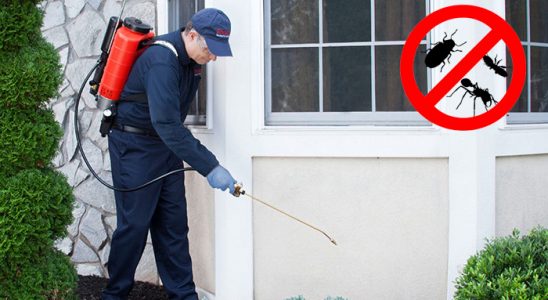 Kızılırmak Bit İlaçlama böcek ilaçlama ve haşere kontrolü — ilaclama-tr.com